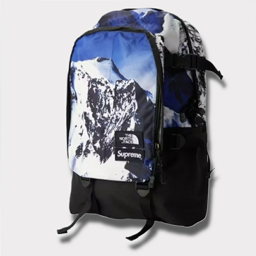 Supreme シュプリーム 17FW The North Face Mountain Expedition  