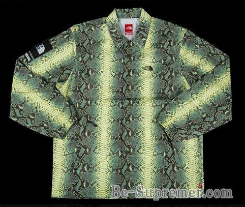 Supreme シュプリーム 18SS The North Face Snakeskin Taped Seam  