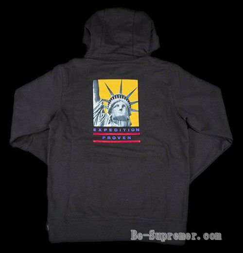 Supreme シュプリーム 19FW The North Face Statue of Liberty Hooded  