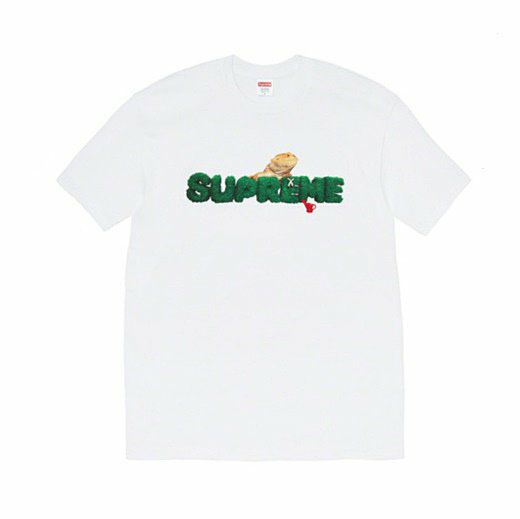 Supreme シュプリーム 22FW Catwoman Tee キャットウーマンTシャツ ヘザーグレー | Supreme(シュプリーム)オンライン通販専門店  Be-supremer I 新作2024AW販売中