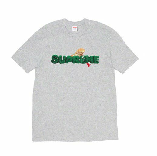 Supreme シュプリーム 20SS Lizard Tee リザードTシャツ トカゲ ヘザーグレー | Supreme(シュプリーム)オンライン通販専門店  Be-supremer I 新作2024AW販売中