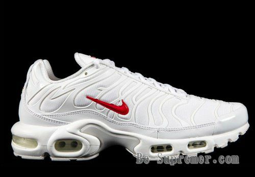 Supreme シュプリーム 20FW Nike Air Max Plus ナイキエアマックス  