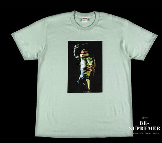 Supreme シュプリーム 21SS Raphael Tee ラファエロTシャツ