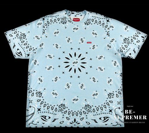 Supreme シュプリーム 21SS Small Box Tee スモールボックスTシャツ ライトブルーバンダナ | Supreme(シュプリーム)オンライン通販専門店  Be-supremer I 新作2024AW販売中