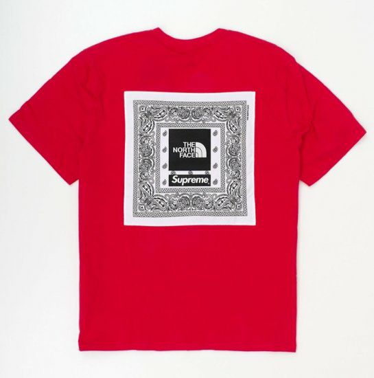 Supreme シュプリーム 22SS The North Face Bandana Tee ノース  