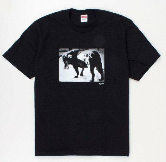 Supreme シュプリーム 22SS Daido Moriyama Dog Tee 森山大道 ドッグT  