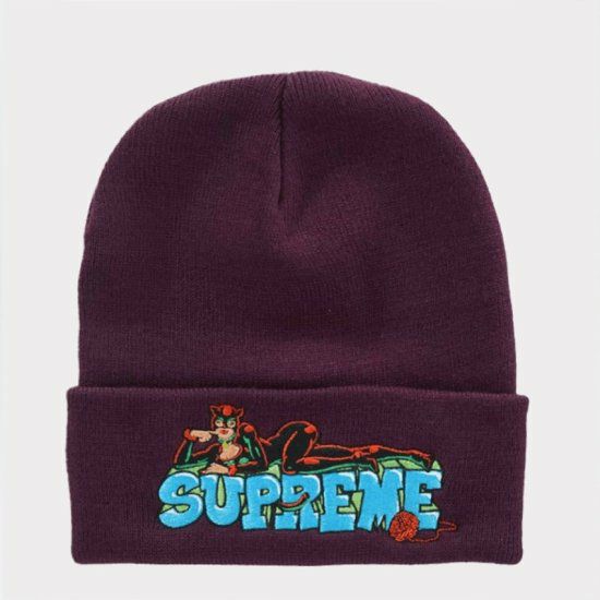 Supreme シュプリーム 2022AW Catwoman Beanie キャットウーマン 