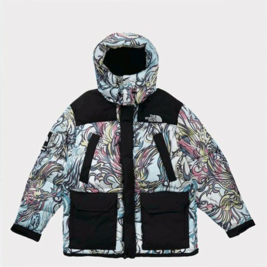 Supreme シュプリーム 2022AW The North Face 700-Fill Down Parka  