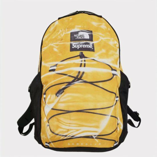 Supreme シュプリーム 2023SS The North Face Trompe L 
