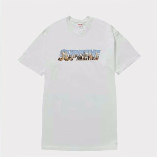 Supreme シュプリーム 23AW Gotham Tee ゴッサムTシャツ ホワイト  