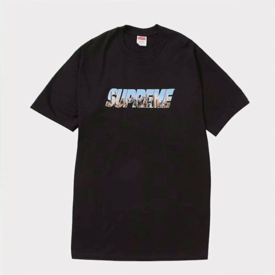 Supreme シュプリーム 23AW Gotham Tee ゴッサムTシャツ ブラック | Supreme(シュプリーム)オンライン通販専門店  Be-supremer I 新作2024AW販売中