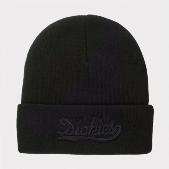 Supreme シュプリーム 2023AW Dickies Beanie ディッキーズビーニー 