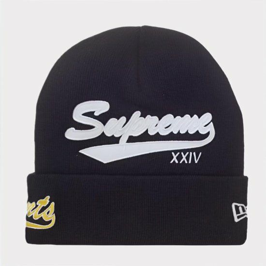 Supreme シュプリーム 2024SS New Era Salvation Beanie ニューエラ 