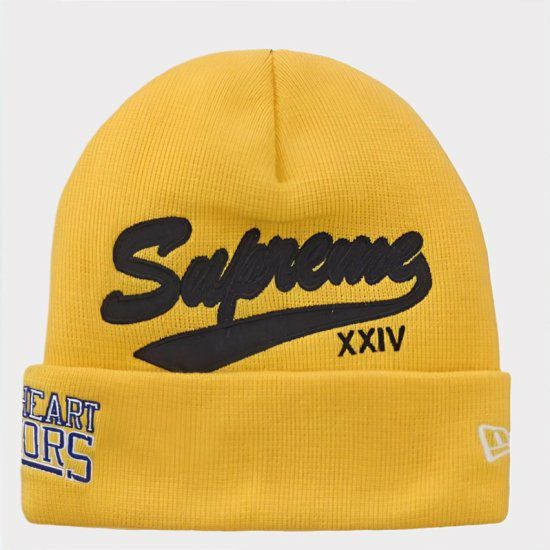 Supreme シュプリーム 2024SS New Era Salvation Beanie ニューエラ 