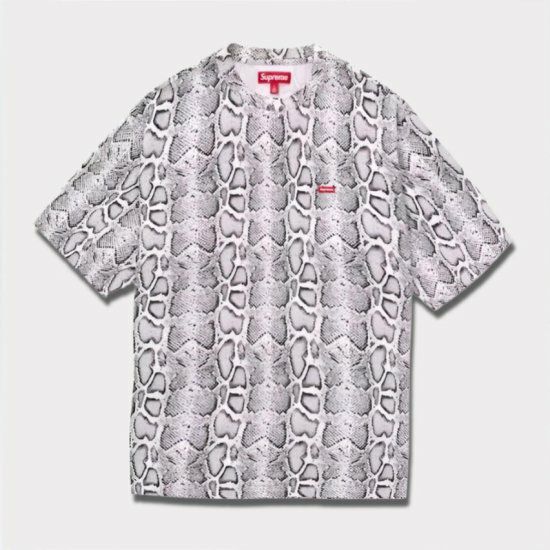 Supreme シュプリーム 2024SS Small Box Tee スモールボックスTシャツ スネーク