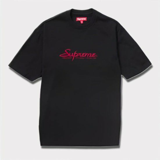 Supreme シュプリーム 18SS The North Face Metallic Mounatin