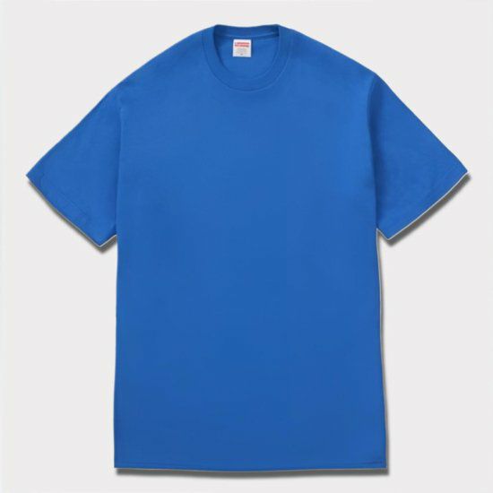 Supreme シュプリーム 2024SS Paint Tee ペイントTシャツ ロイヤル 青12