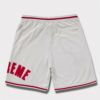 Supreme シュプリーム 2024SS Ultrasuede Mesh Short ウルトラスエードメッシュショーツ グレー 灰12