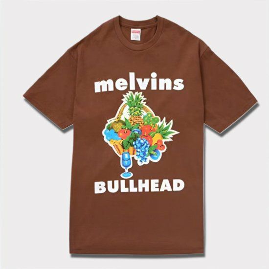 Supreme シュプリーム 2024SS Melvins Bullhead Tee メルヴィンズ ブルヘッドTシャツ ブラウン　茶1