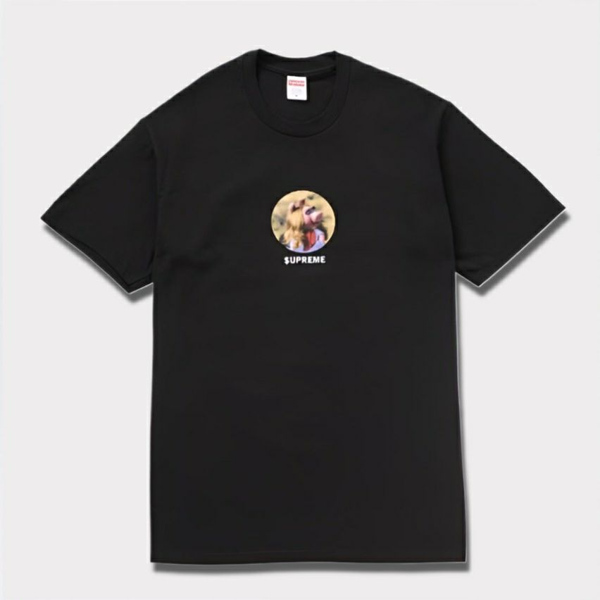 Supreme シュプリーム 23SS Undercover Lupin Tee アンダーカバー 
