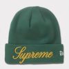 Supreme シュプリーム 2024AW New Era Script Beanie ニューエラスクリプトビーニー ニット帽　グリーン　緑