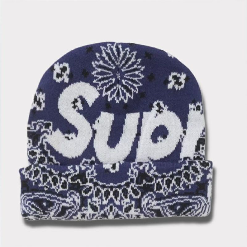 Supreme シュプリーム 2024AW Big Logo Beanie ビッグロゴビーニー ブルーバンダナ