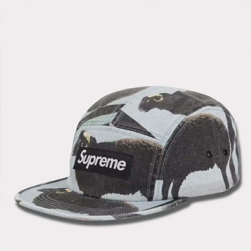 Supreme シュプリーム 2025SS Damien Hirst Camp Cap ダミアンハーストキャンプキャップ ブラック 黒