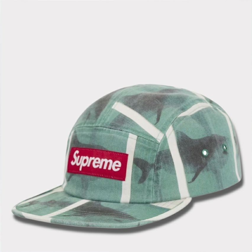 Supreme シュプリーム 2025SS Damien Hirst Camp Cap ダミアンハースト 