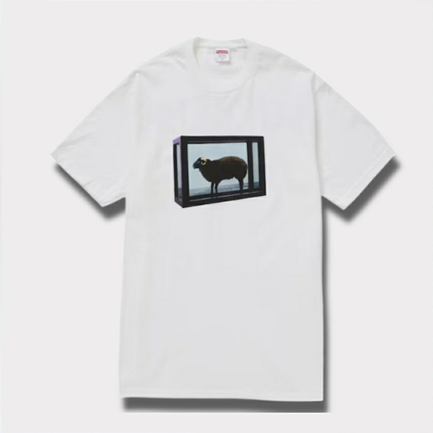 Supreme シュプリーム 2025SS Damien Hirst tee ダミアンハーストT  