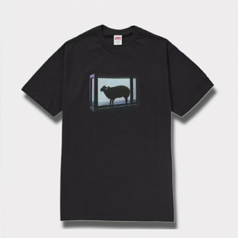 Supreme シュプリーム 2025SS Damien Hirst tee ダミアン