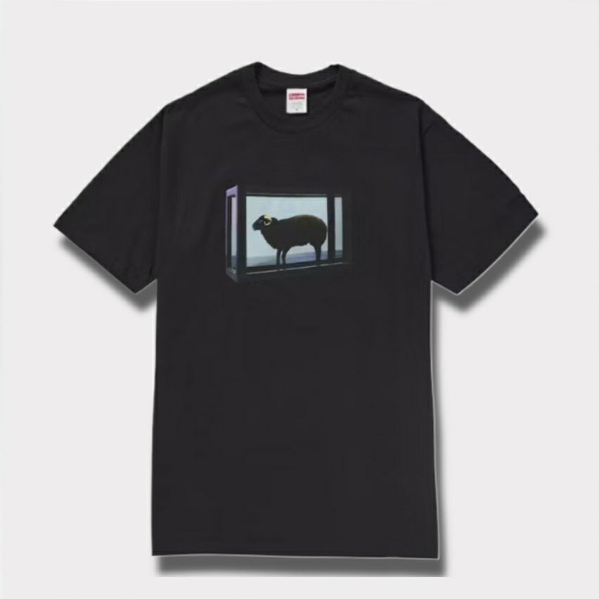 Supreme シュプリーム 2025SS Damien Hirst tee ダミアンハーストT  