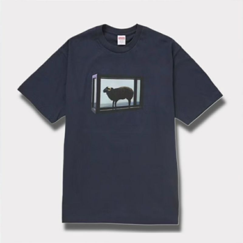 Supreme シュプリーム 2025SS Damien Hirst tee ダミアンハーストTシャツ ネイビー 紺