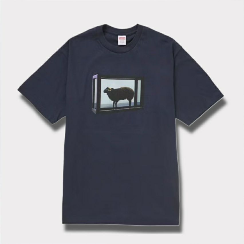Supreme シュプリーム 2025SS Damien Hirst tee ダミアンハーストTシャツ ネイビー 紺