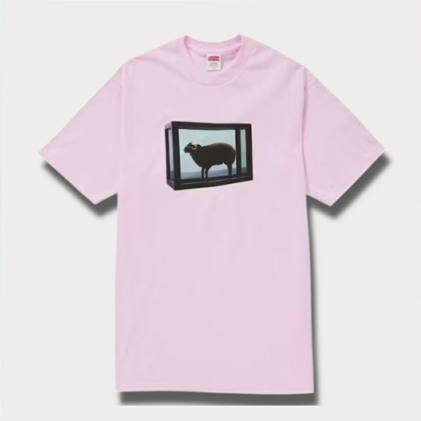Supreme シュプリーム 2025SS Damien Hirst tee ダミアンハーストTシャツ ライトピンク