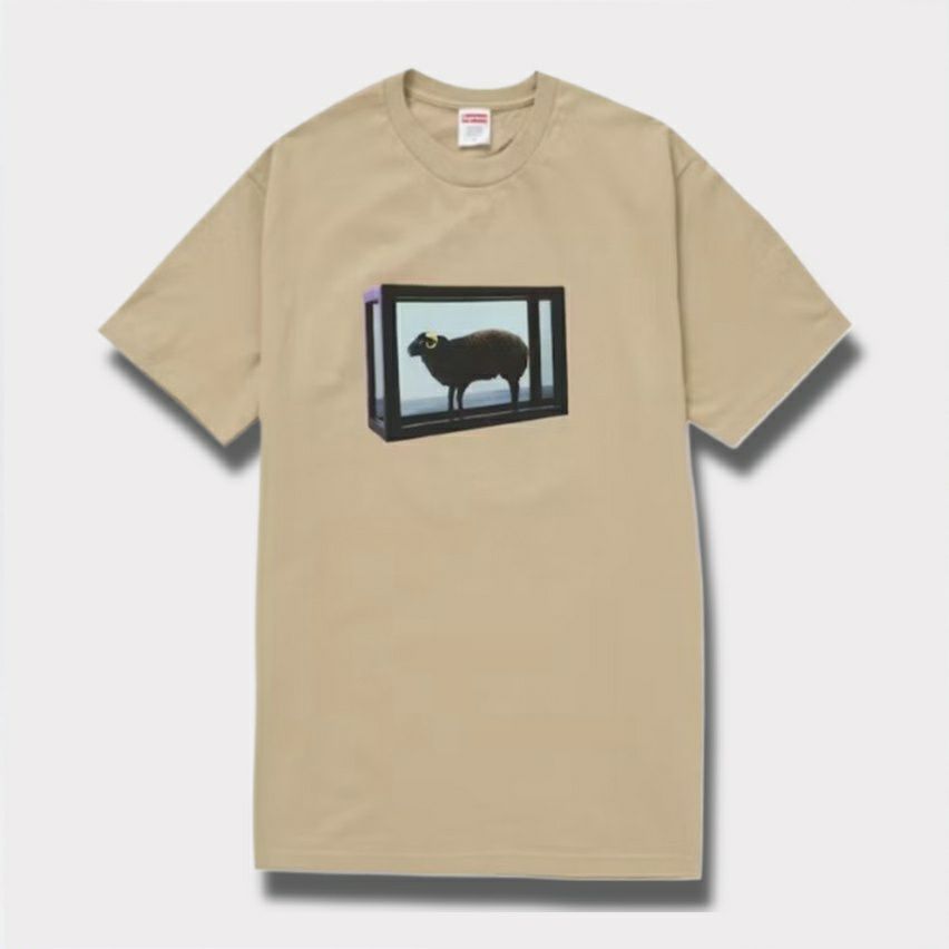 Supreme シュプリーム 2025SS Damien Hirst tee ダミアンハーストT 