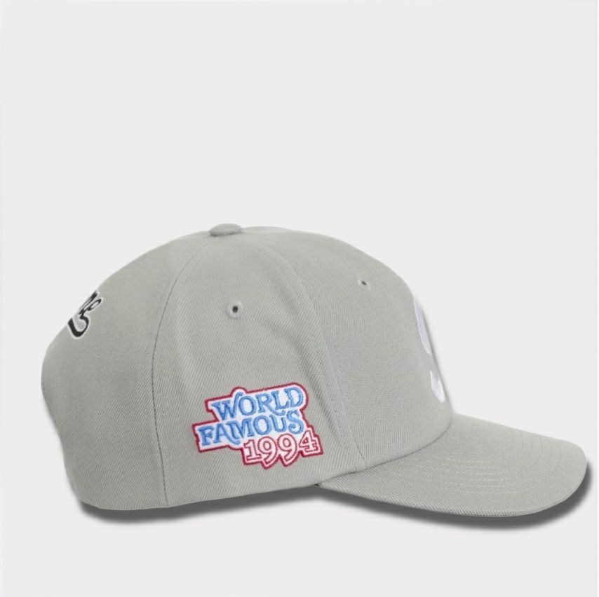 Supreme シュプリーム 2025SS World Famous S Logo 6Panel Cap ワールドフェイマスSロゴ6パネルキャップ グレー　灰2