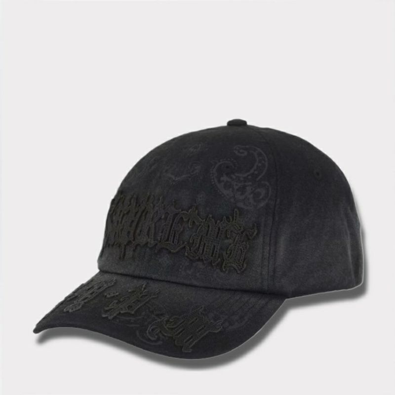 Supreme シュプリーム 2025SS Leather Applique 6-Panel Cap レザーアップリケ6パネルキャップ ブラック